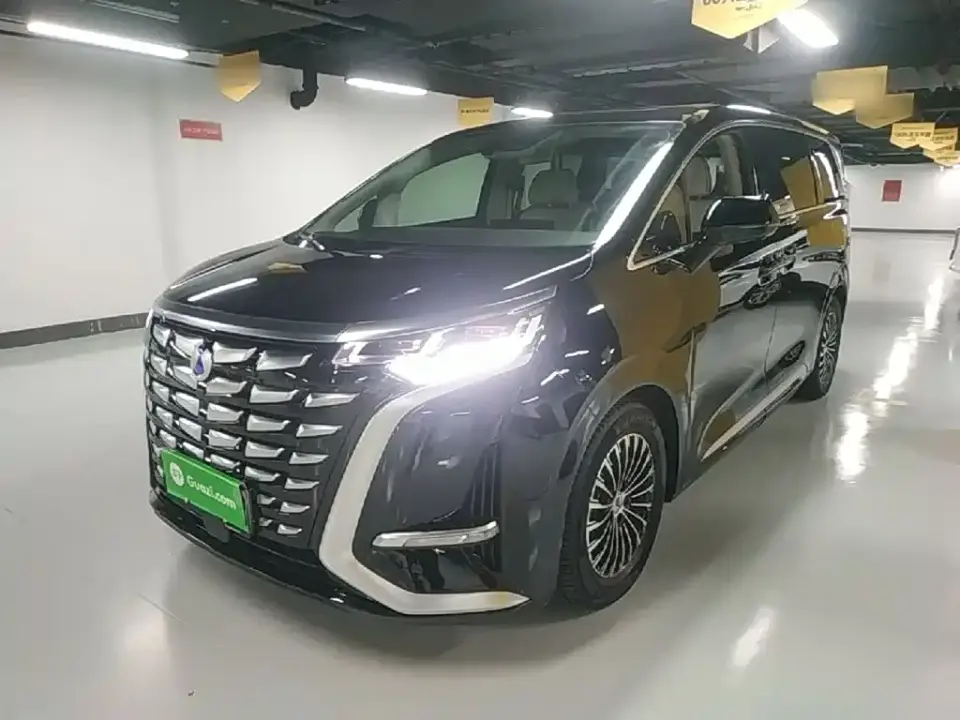 Denza D9 DM-i 970 Luxury 2024