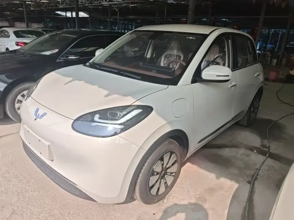 Wuling Motors Wuling Bingo Model 333km Joy Edition 2026