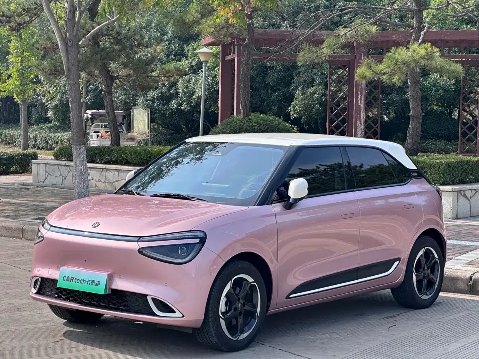 Dongfeng Yipai Nano 01 Model High-end Version 2026