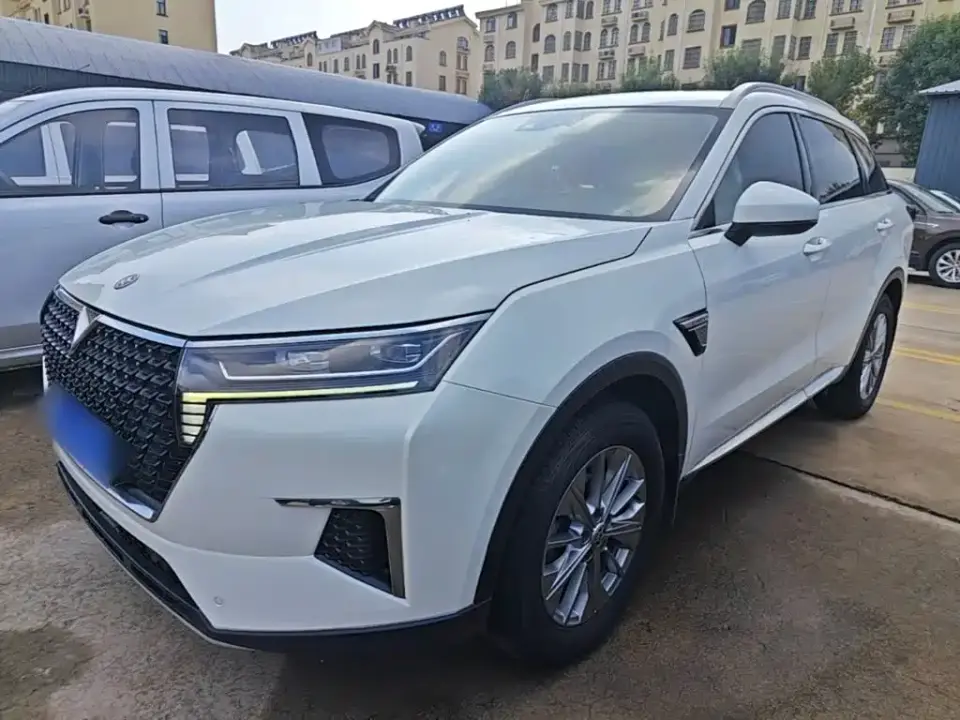 Venucia Star 260T Automatic 48V Mild Hybrid Turbo Star Enjoy Edition 2020