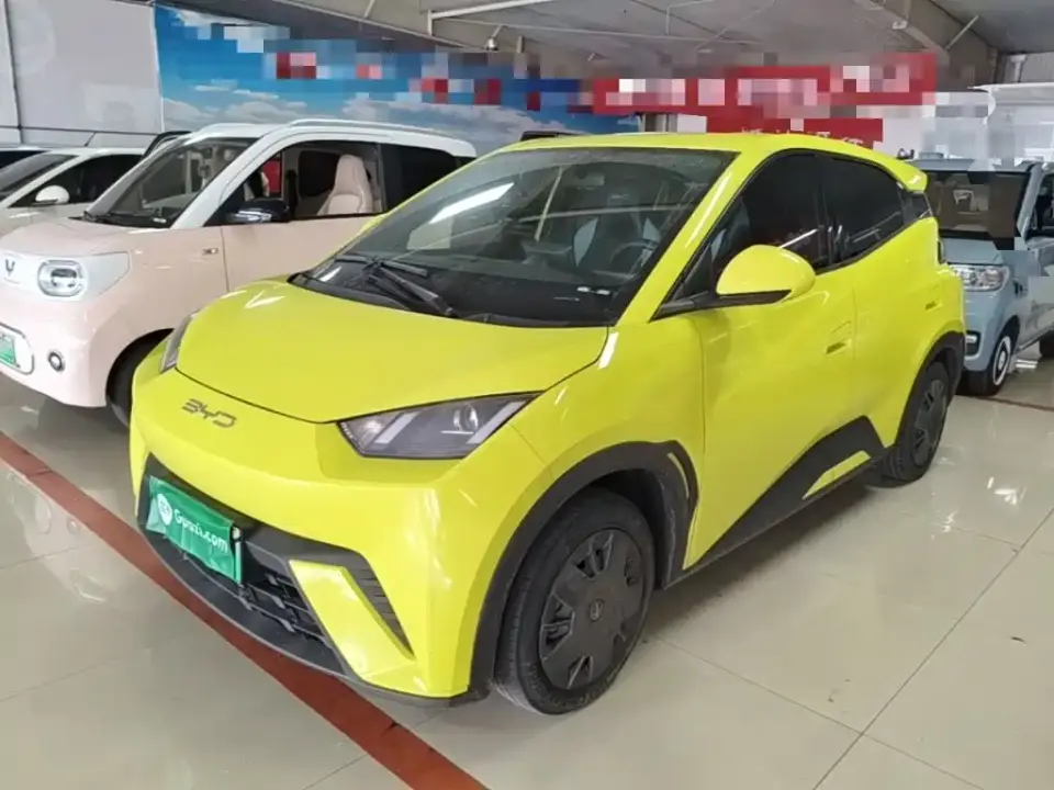 BYD Seagull Vitality Edition 2024