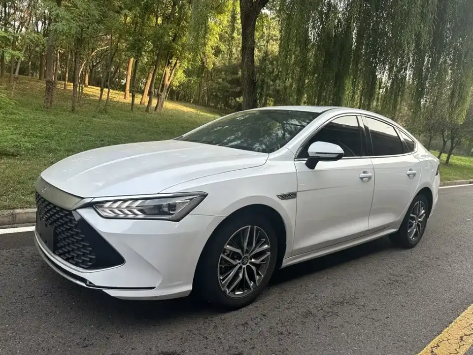 BYD Qin PLUS DM-i 55KM Flagship 2022