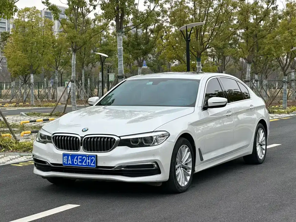 BMW 5 Series 530Li Leading Luxury Package 2019