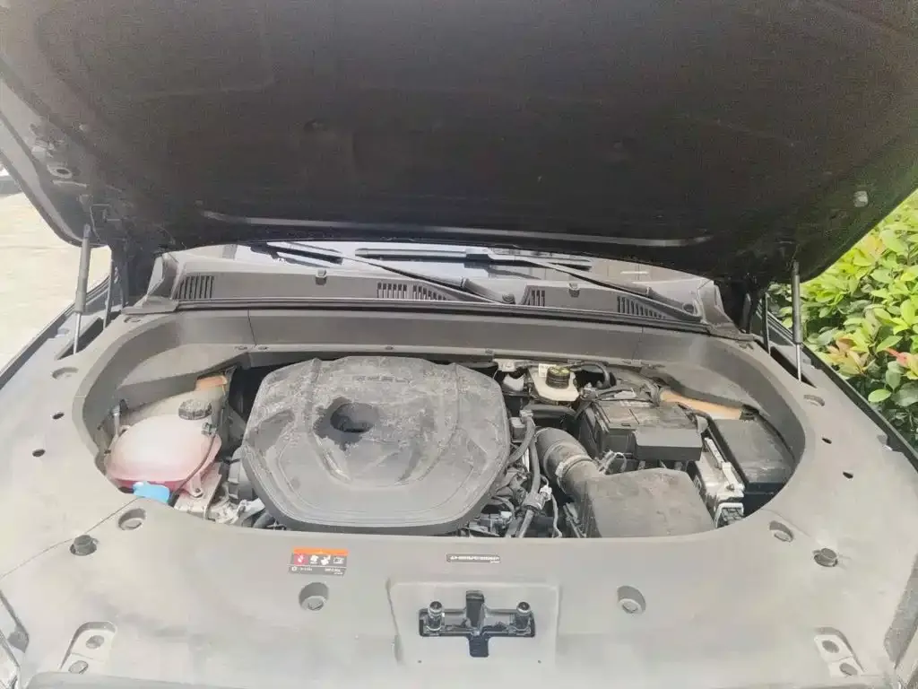 Geely Xingyue L 2.0TD DCT EVO FWD Changfeng Edition 2025 — фото 3