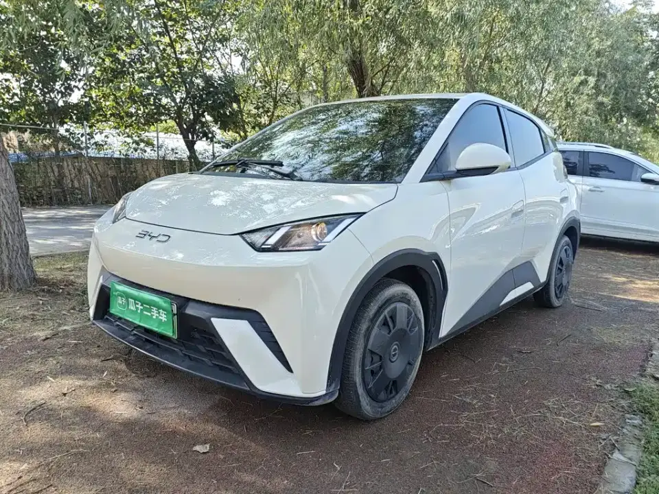BYD Seagull Glory Edition 305km Vitality Edition 2024