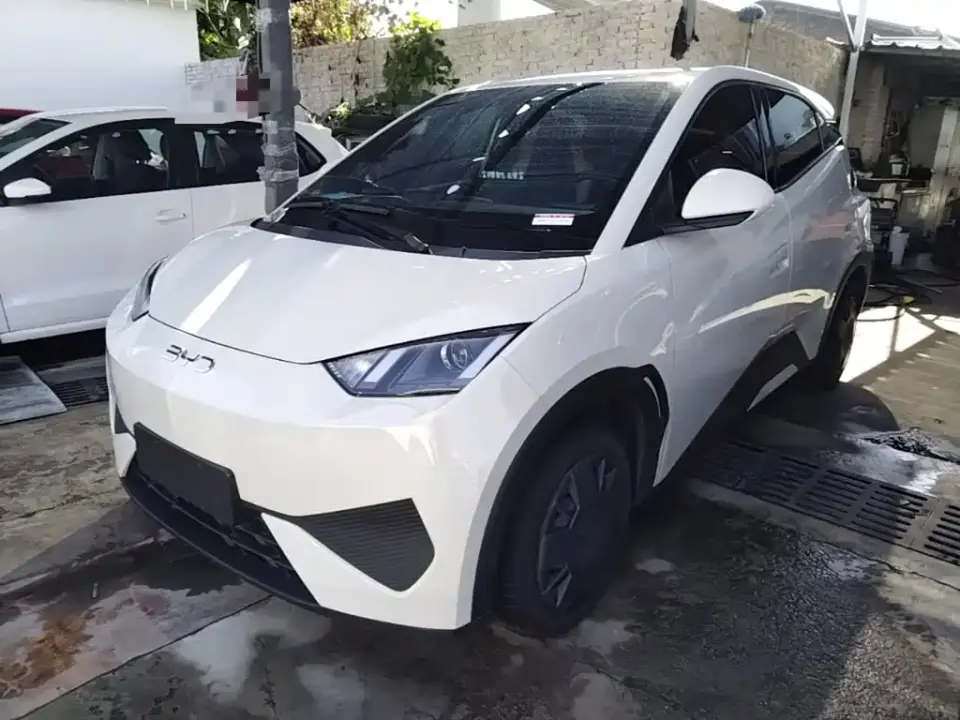 BYD Seagull Smart Drive Edition 305km Vitality Version 2025