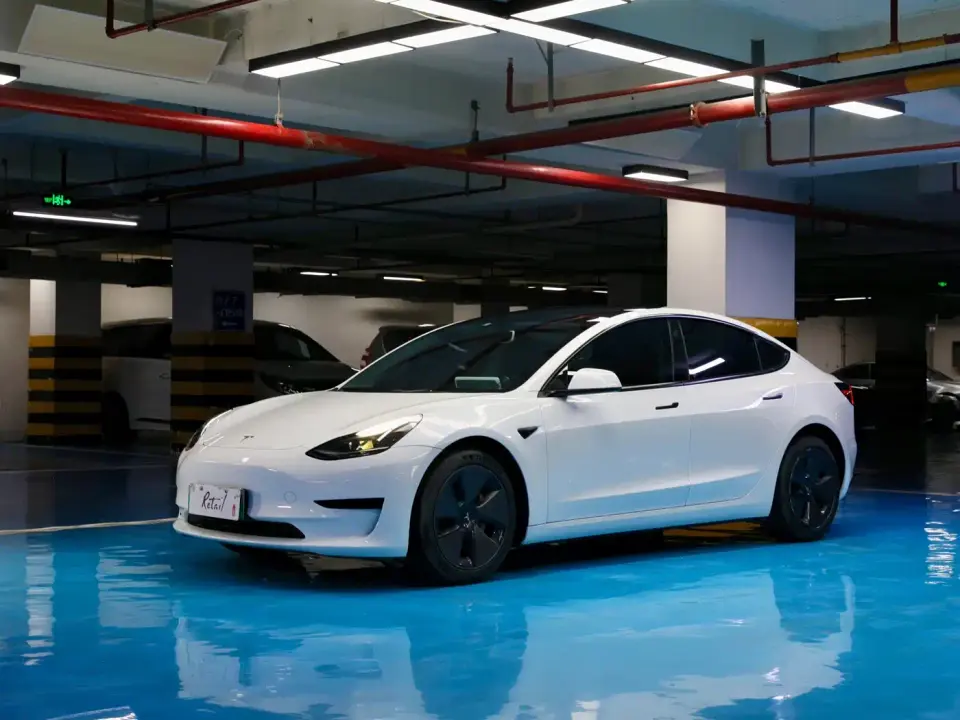 Tesla Model 3 Standard Range Rear-Wheel Drive Upgrade 3D6 2021