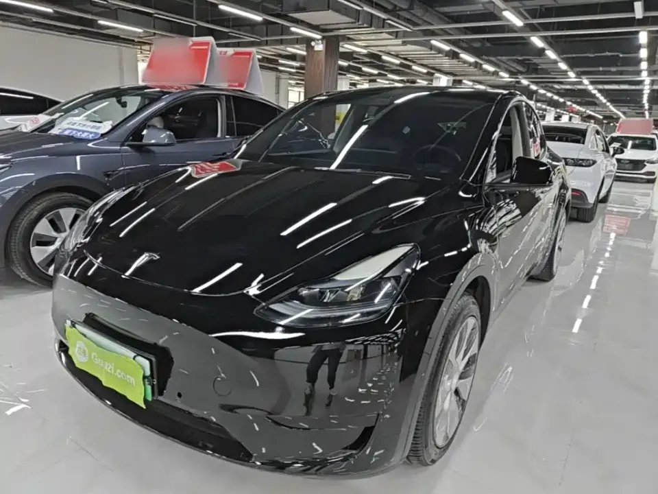 Tesla Model Y Rear-Wheel Drive Version 2022