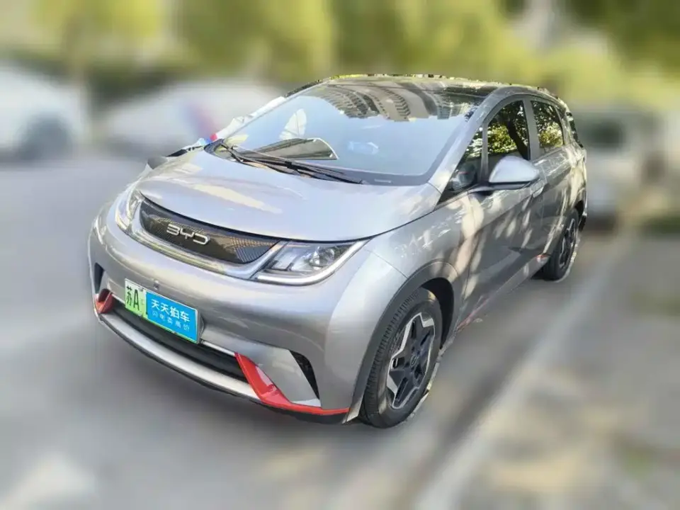 BYD Dolphin Model 405km Fashion Edition 2022