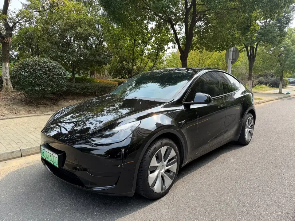 Tesla Model Y Rear-Wheel Drive Version 2022