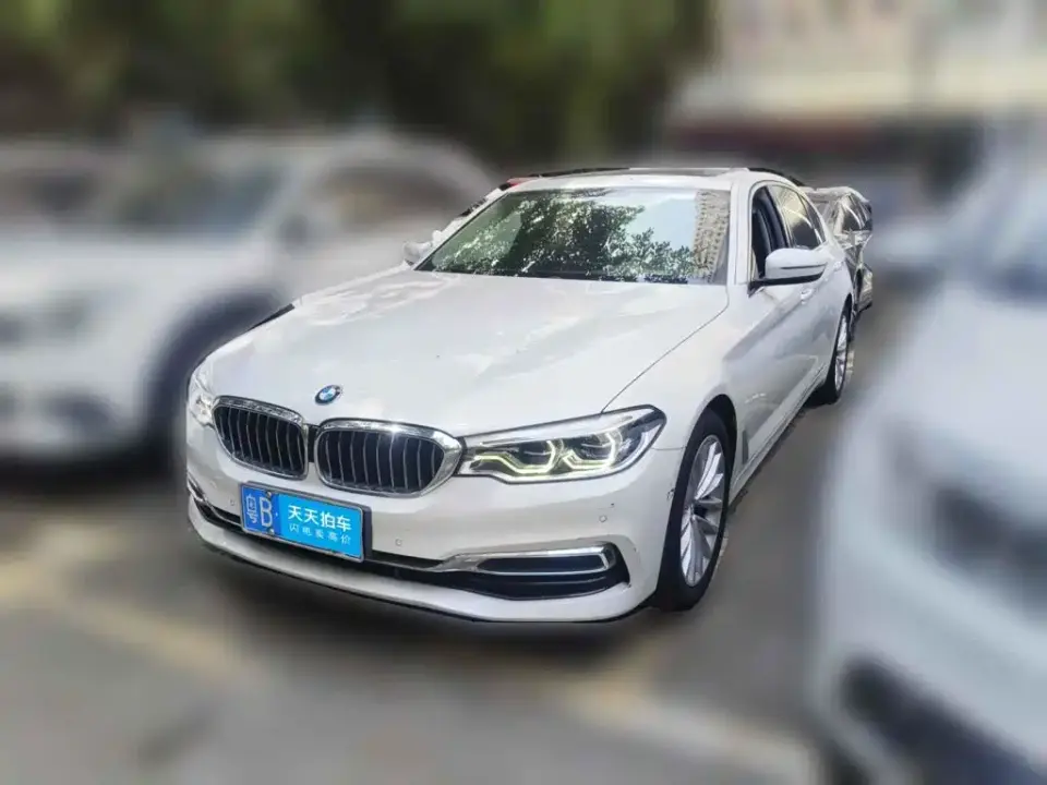 BMW 5 Series 530Li Leading Luxury Package 2019