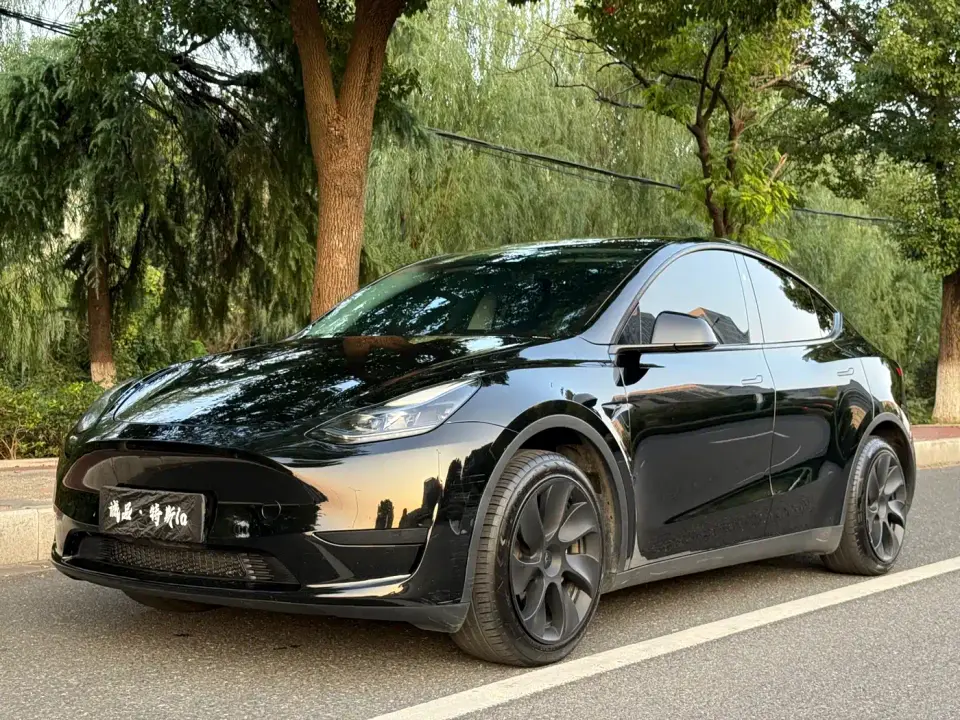 Tesla Model Y Rear-Wheel Drive Version 2024