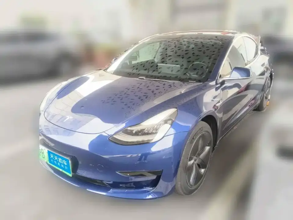 Tesla Model 3 Standard Range Rear-Wheel Drive Upgrade 2020