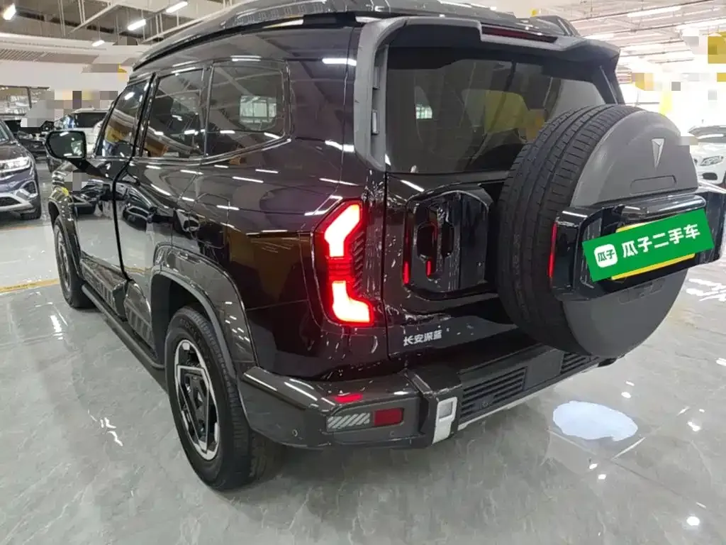 Deepal Deep Blue G318 Worry-free Cross Country 4WD Mountain Edition 2025 — фото 4