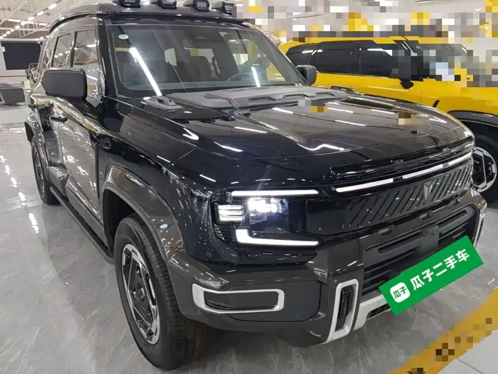 Deepal Deep Blue G318 Worry-free Cross Country 4WD Mountain Edition 2025 — фото 3