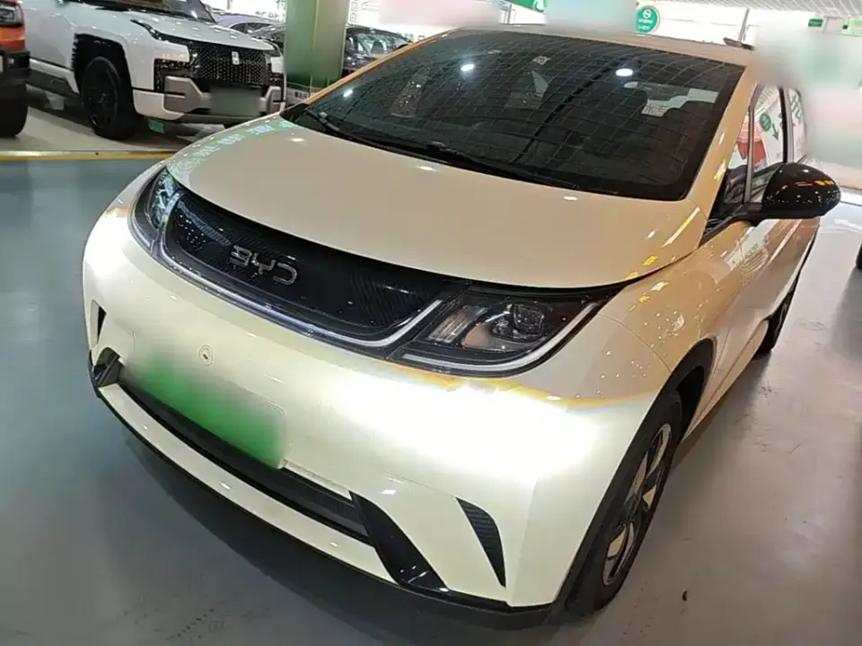 BYD Dolphin 420km Freedom Edition 2024
