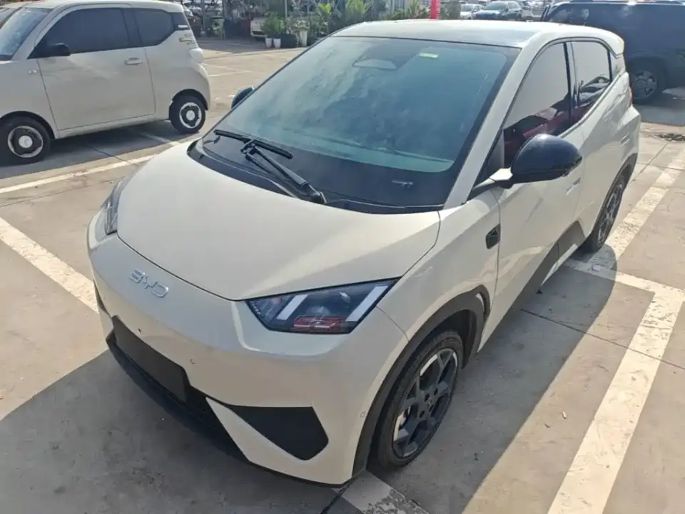 BYD Seagull Smart Drive Edition 305km Freedom Version 2025