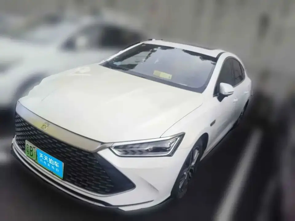 BYD Qin PLUS DM-i 55KM Flagship 2021