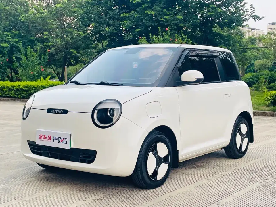 Changan Qiyuan Changan Lumin 210km Sweet Edition 2022