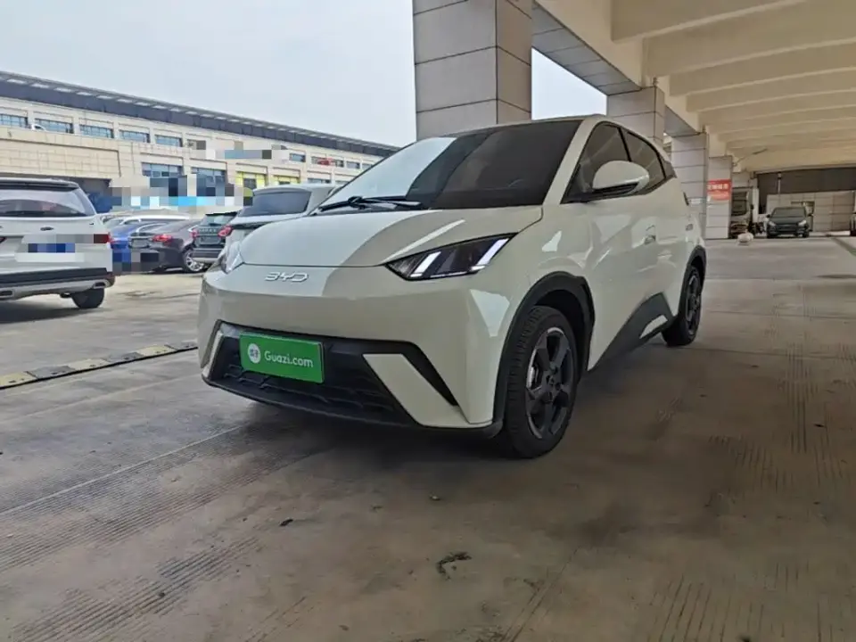BYD Seagull Glory Edition 305km Freedom Edition 2024