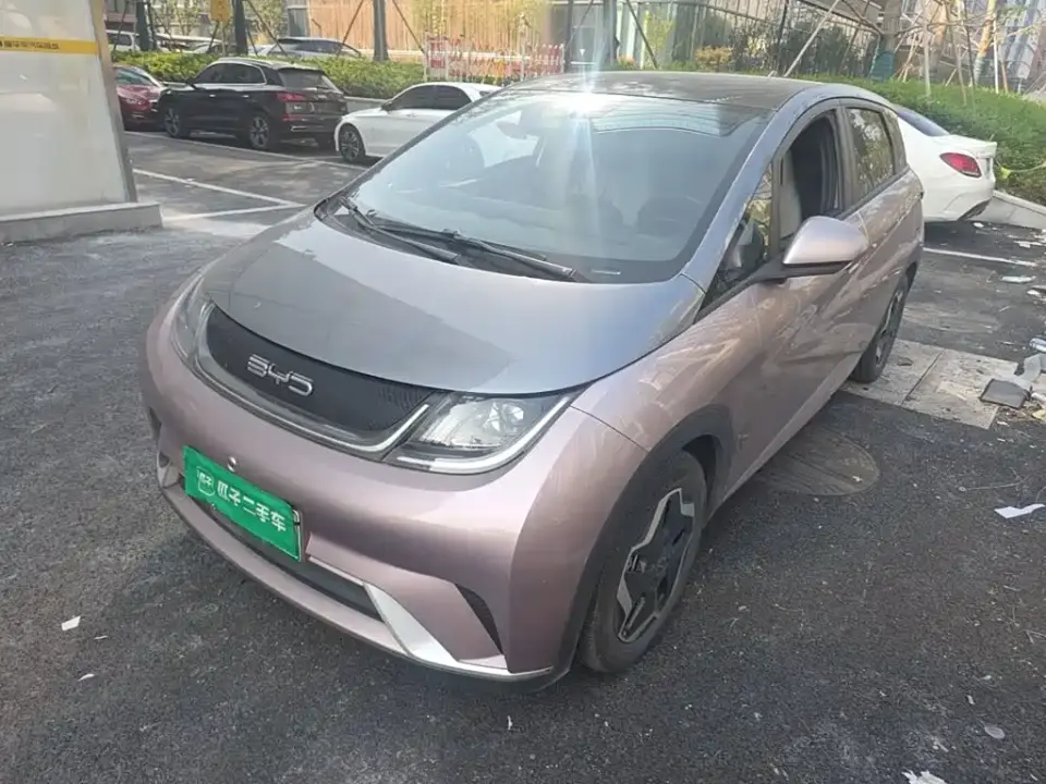 BYD Dolphin Model 405km Fashion Edition 2022