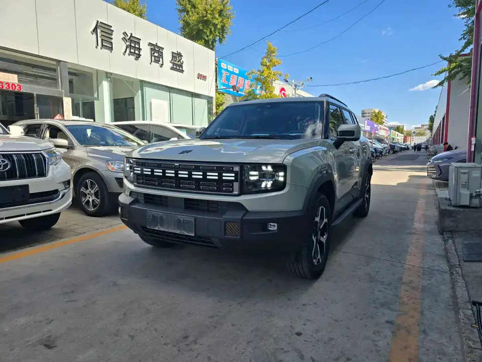 Jetour Shanhai T1 220km XWD Conquest 2025