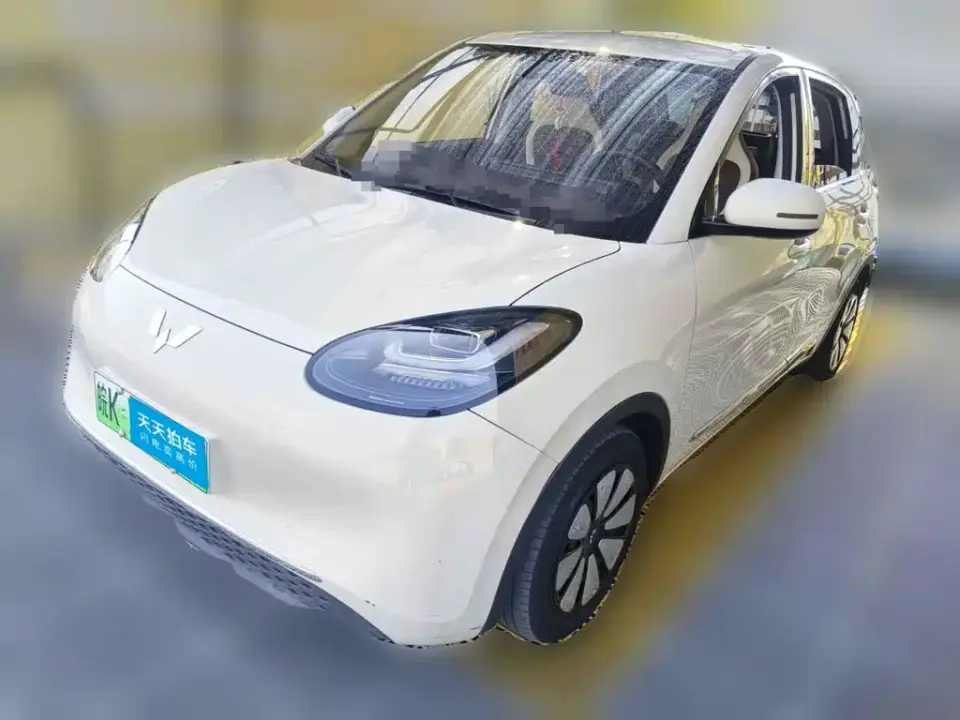 Wuling Motors Wuling Bingo 203km Comfort Version 2023