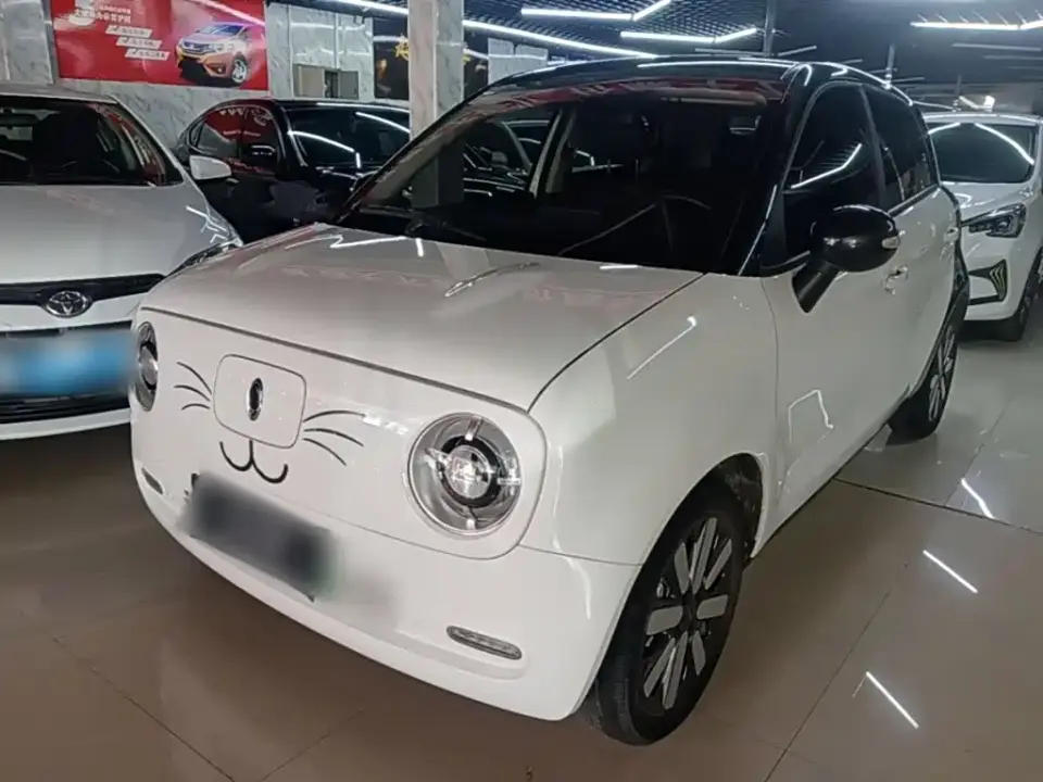 ORA Black Cat 351km Family Edition 2021