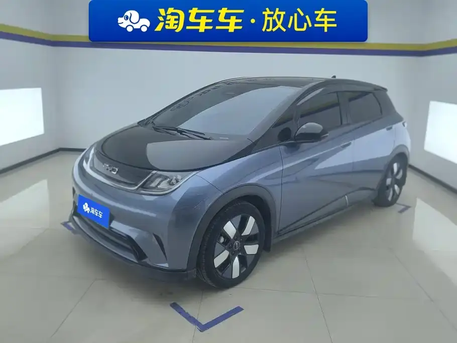 BYD Dolphin 520km Knight Edition 2024