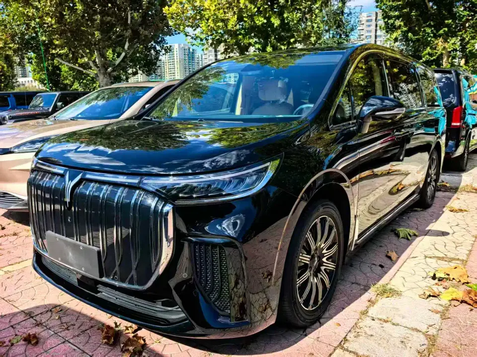 Voyah Auto Voyah Dreamer EV Long Range Excellence Edition 2025