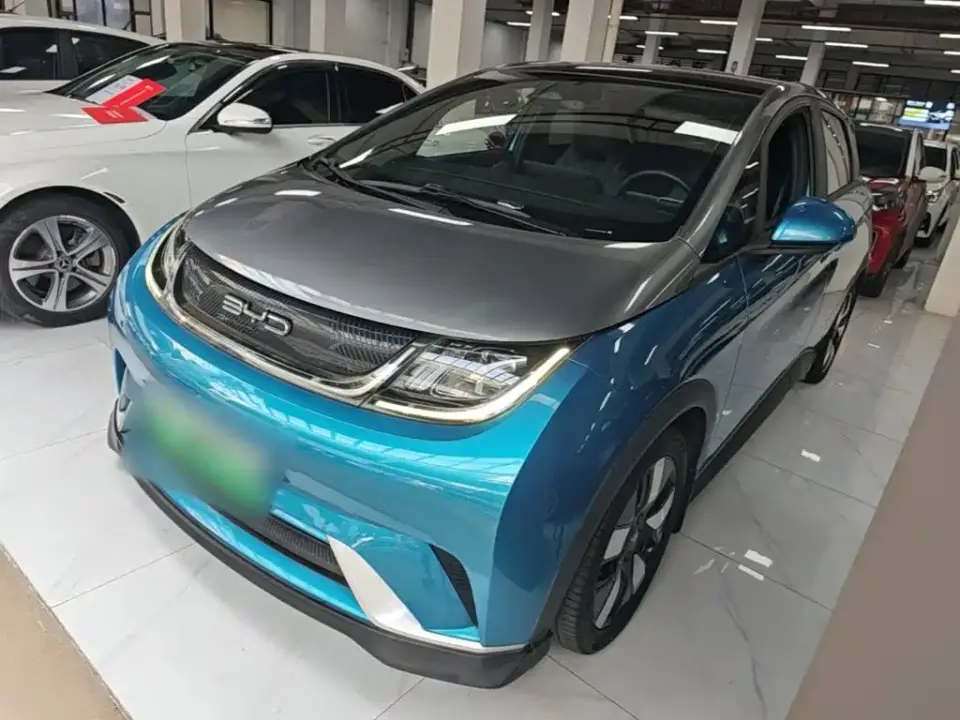 BYD Dolphin 401km Knight Edition 2022