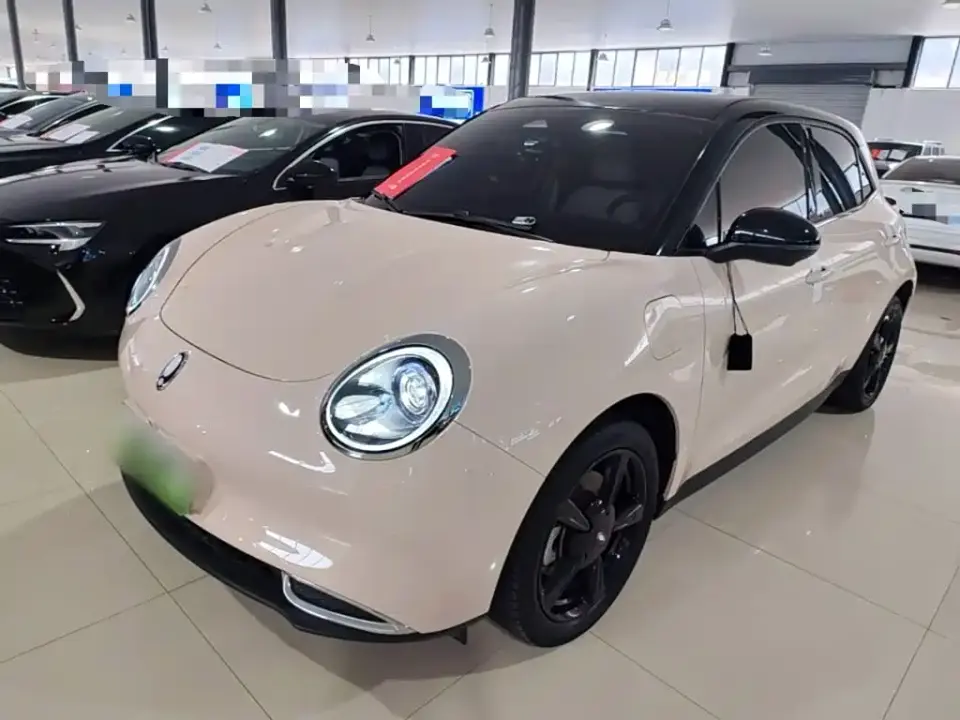 ORA Good Cat 401km Luxury 2024