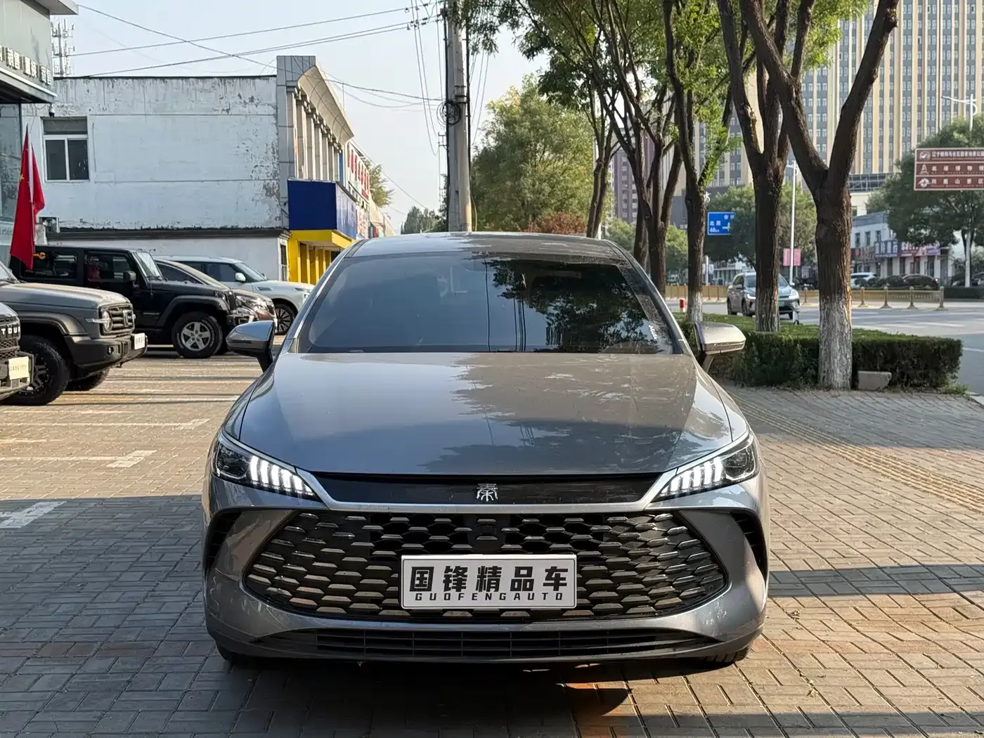 BYD Qin PLUS DM-i 128KM Progressive 2026 — фото 2