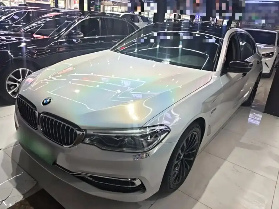 BMW 5 Series New Energy Facelift 530Le Luxury Package 2019