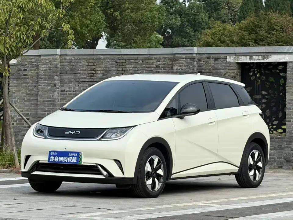 BYD Dolphin 420km Freedom Edition 2026