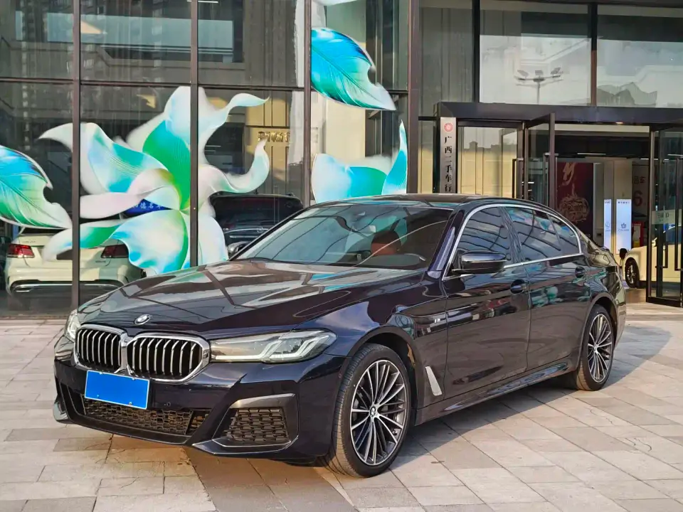 BMW 5 Series 530Li xDrive M Sport Package 2021