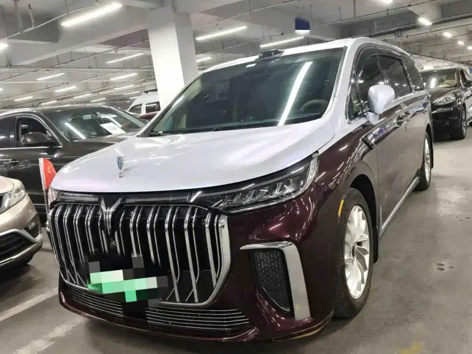 Voyah Auto Voyah Dreamer Low Carbon Edition Home 2024