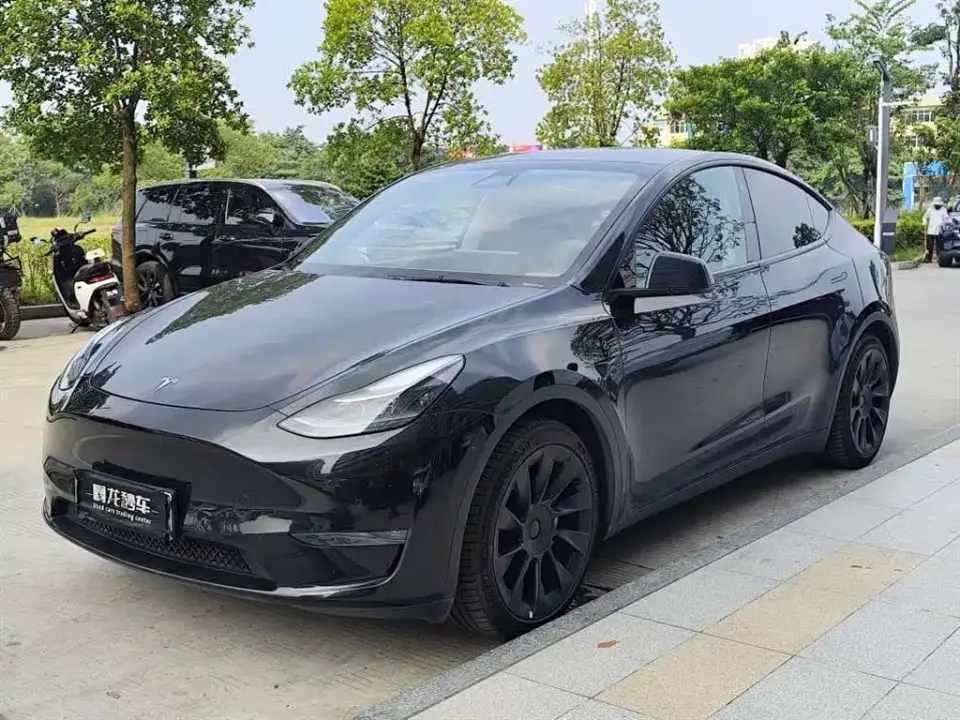 Tesla Model Y Standard Range Rear-Wheel Drive 2021