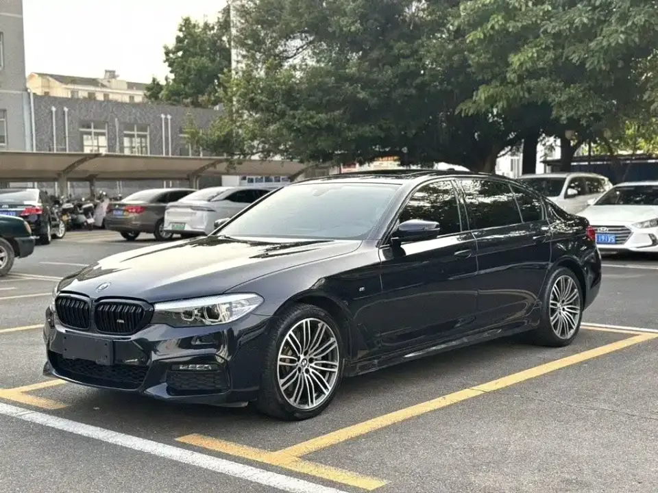BMW 5 Series 530Li Leading M Sport Package 2019