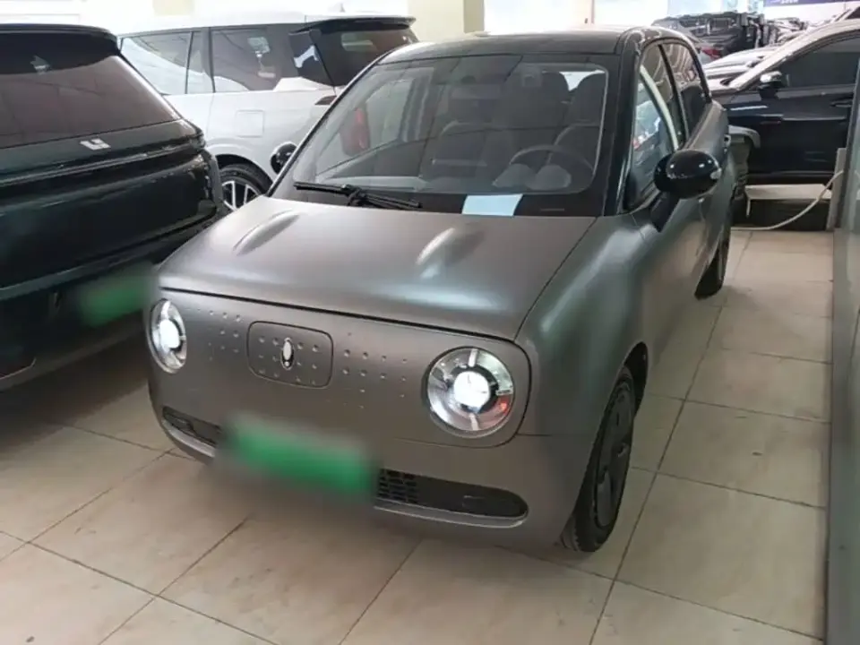ORA Black Cat 301km Cute Pet Edition (LFP) 2021