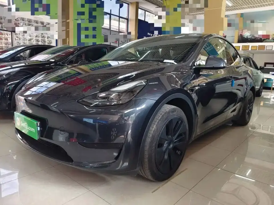 Tesla Model Y Rear-Wheel Drive Version 2024