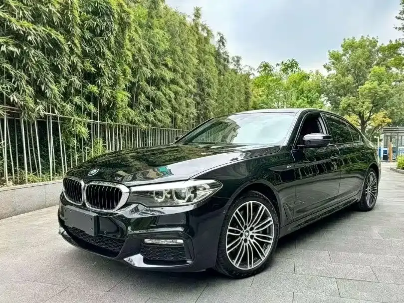 BMW 5 Series 530Li Leading M Sport Package 2019