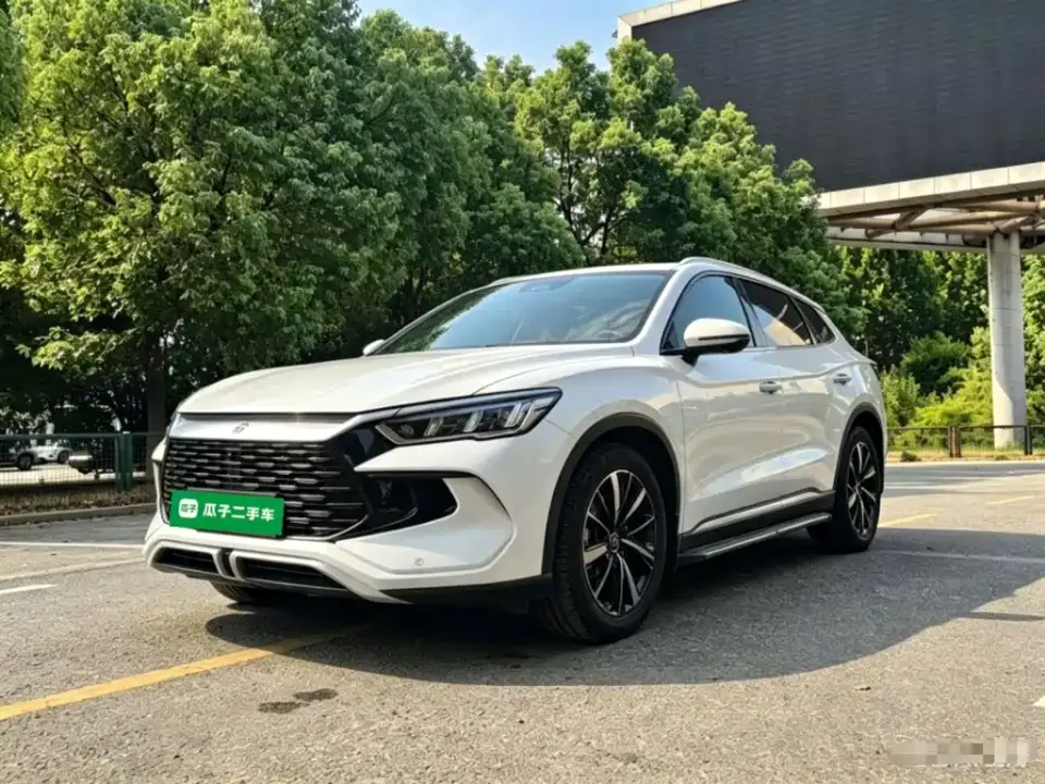 BYD Song Pro New Energy Glory Edition DM-i 71KM Pilot 2024