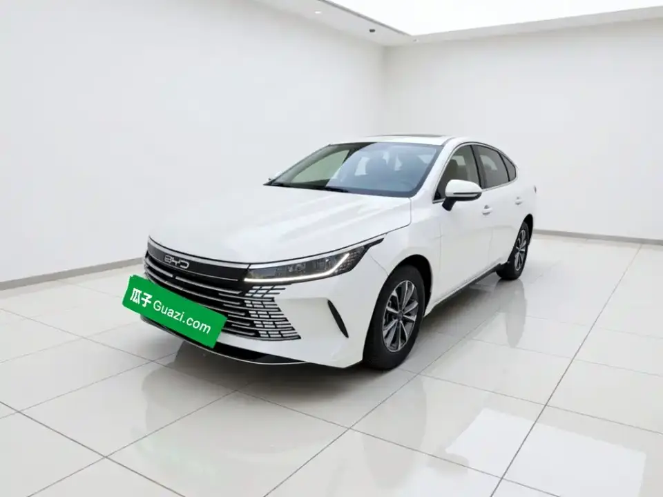 BYD Destroyer 05 Glory Edition DM-i 55KM Luxury 2024