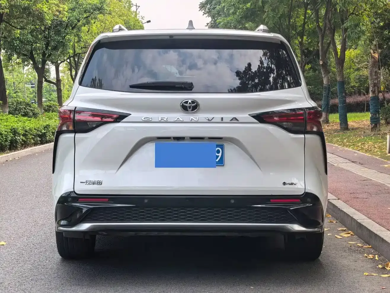 Toyota Granvia 2.5L Hybrid Premium PLUS 2024 — фото 6
