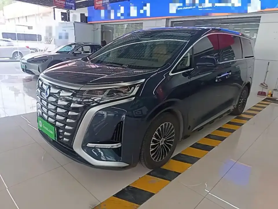 Denza D9 DM-i 970 AWD Flagship 2024