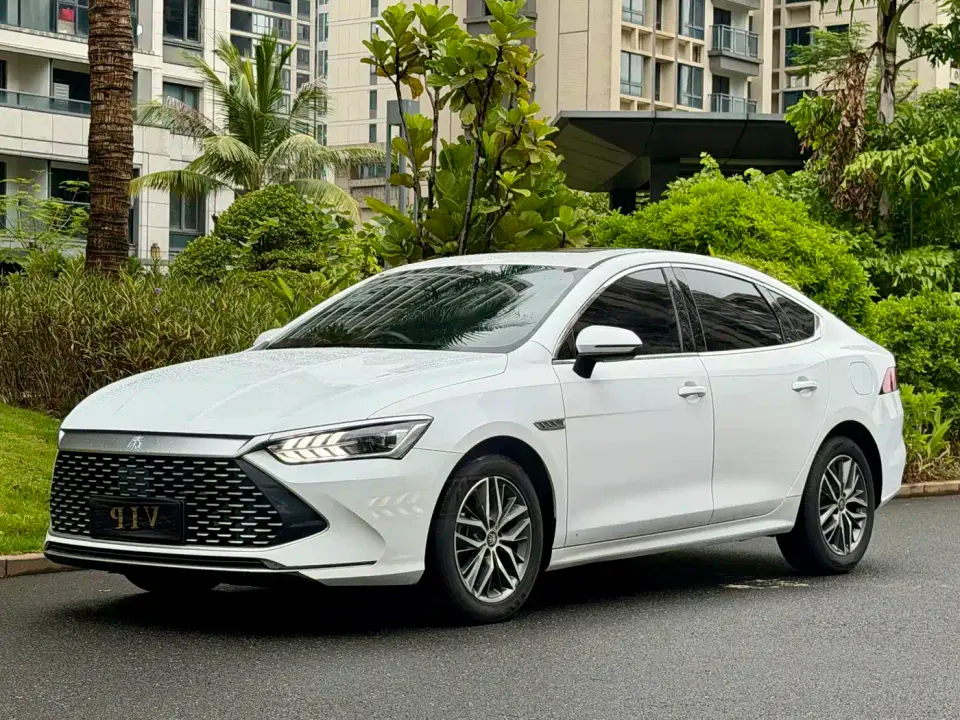BYD Qin PLUS DM-i 55KM Flagship 2021