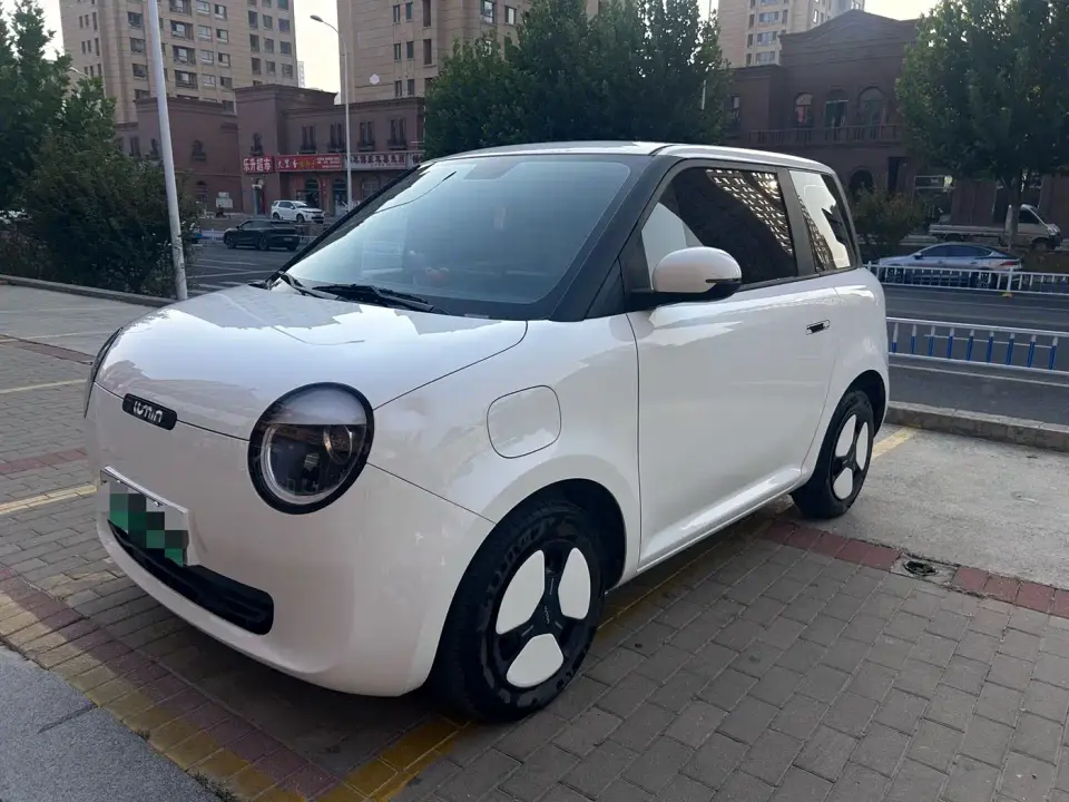 Changan Qiyuan Changan Lumin Model 210km Fresh Edition 2024