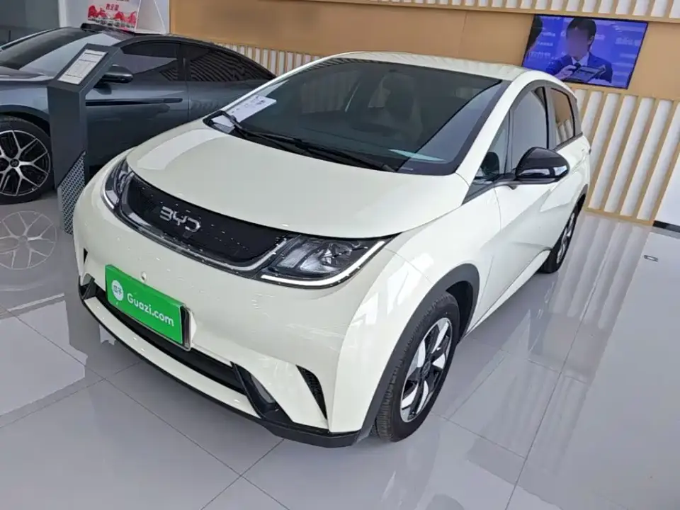 BYD Dolphin 420km Freedom Edition 2025