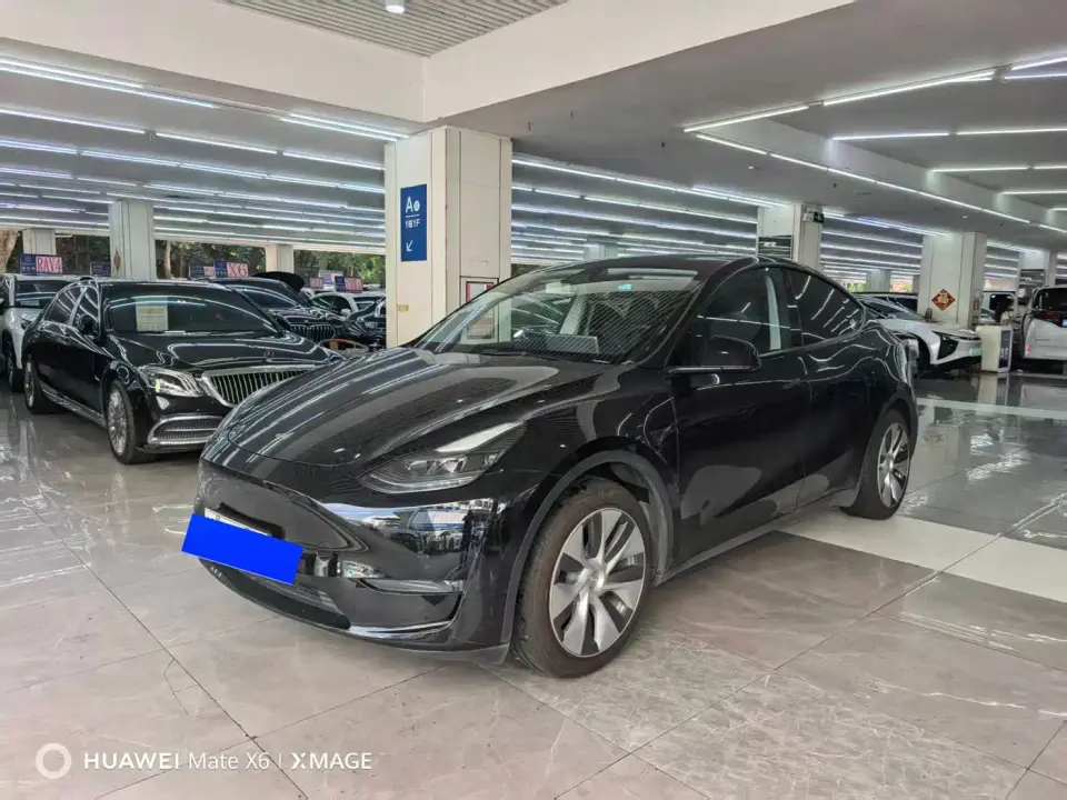 Tesla Model Y Standard Range Rear-Wheel Drive 2021